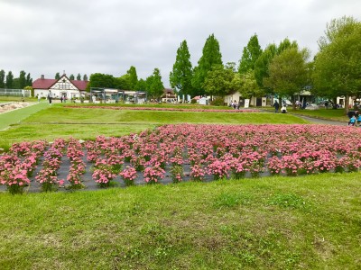 AC7A23FD-DA84-49B1-B5B2-E205230927D01