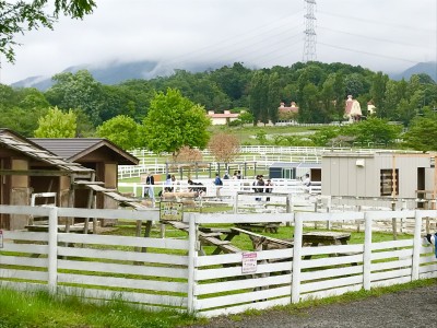 FB02569A-140E-43BE-8E65-78965A1B39F2